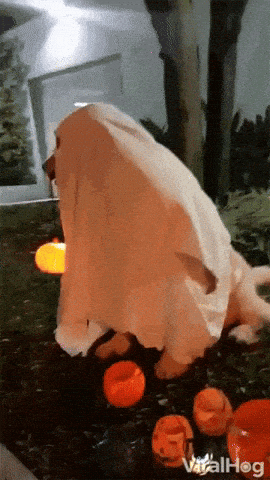 Midwest Startups Newsletter - Haunted Edition 👻