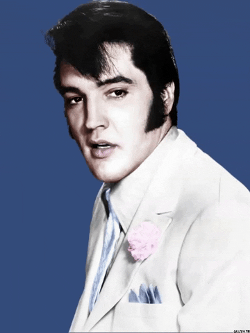 Sale Bidding GIF by David