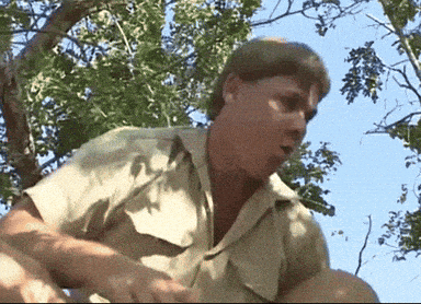 Steve Irwin Danger GIF