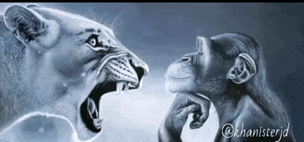 Trending Staring GIF