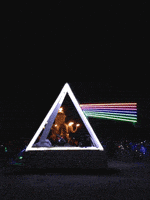 Burning Man GIF by audreyobscura