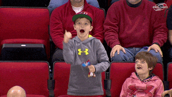 hockey dancing GIF by Carolina Hurricanes