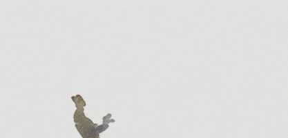 short film animation GIF by Will Kim