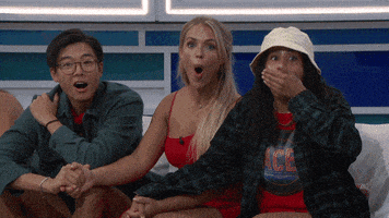 No Way Wow GIF by Big Brother