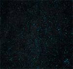 Summit GIF by Fortes Tecnologia