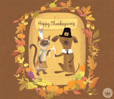 Hallmark Ecards Cat GIF by Hallmark Gold Crown