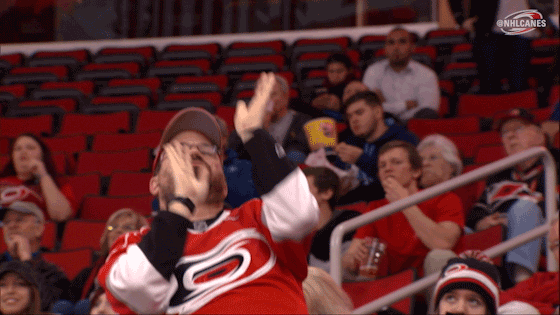 hockey dancing GIF by Carolina Hurricanes
