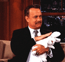 tom hanks rabbit GIF