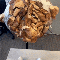 Lab Onf GIF by Alex Boya