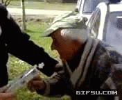 Giphy - wants youtube GIF