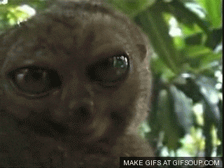 Giphy - surprised big eyes GIF