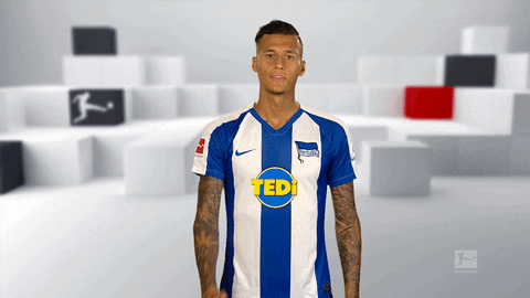 Giphy - Hertha Bsc Reaction GIF by Bundesliga