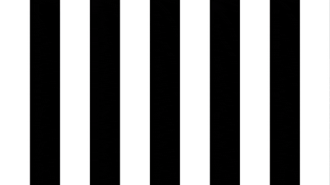 Giphy - Happy Football GIF by SK Sturm Graz