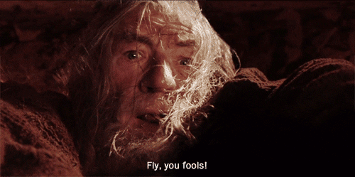 Giphy - Fly You Fools Lord Of The Rings GIF by Maudit