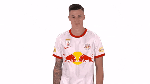 Giphy - Happy Dance GIF by FC Red Bull Salzburg