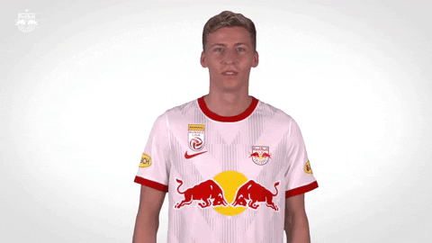 Giphy - Red Bull No GIF by FC Red Bull Salzburg
