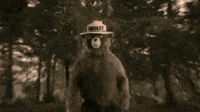 GIF by Smokey Bear