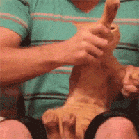 freak out dancing GIF