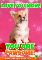 Mothers Day Taylor GIF by PetJuvenate - PJ