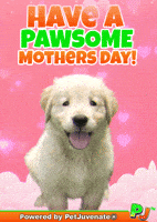 Mothers Day Taylor GIF by PetJuvenate - PJ