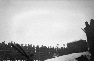 Ski Jumping GIF by GIF IT UP