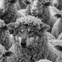 😠Chacun fait c' qui lui plait ??? 😁