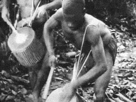 Les royaumes oubliés d'Afrique