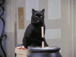 L'Islam, la religion de la vérité ?