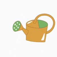 🎁 Bonus Fofocoins : La réponse surprise