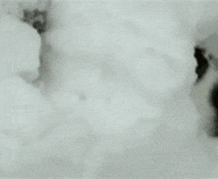 🎁 Bonus Fofocoins : La réponse surprise