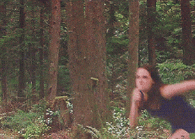Quelle est la Forêt Qui ne Doit absolument pas Brûler ??