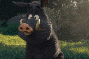 la signification de Noel