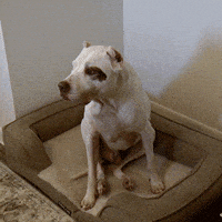 Married At First Sight Lol GIF by Lifetime