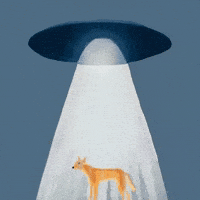 Mans Best Friend Dog GIF by Barbara Pozzi