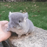 Wow GIF by JustViral.Net