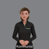 Avatar Gebärdensprache GIF by Sign Time - SiMAX