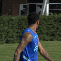 Premier League Sport GIF by Watford Football Club