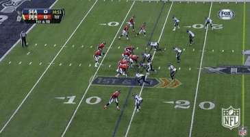 Seattle Seahawks GIF by NFL