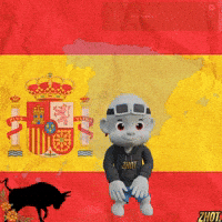 Spain Esp GIF by Zhot
