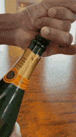 Happy New Year Celebration GIF by Robert E Blackmon
