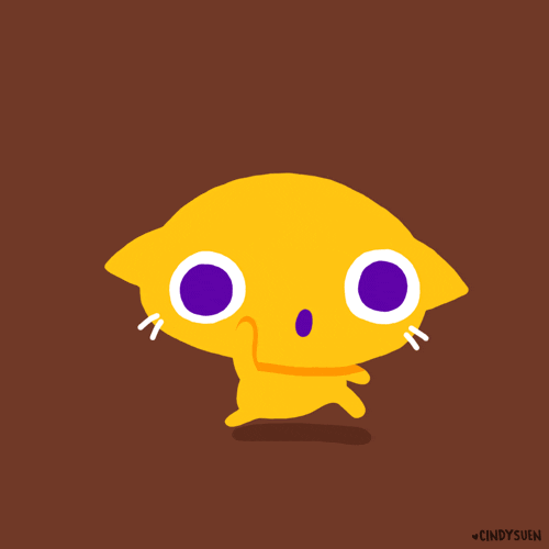 Random cat gif