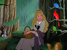 Sleeping Beauty Disney GIF Sleeping Beauty Disney GIF