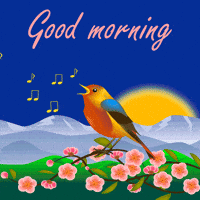 Happy Good Morning GIF by EleonoraKuz Happy Good Morning GIF by EleonoraKuz
