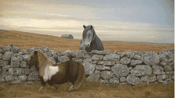 loose GIF