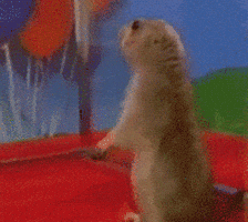interested crear gifs GIF interested crear gifs GIF