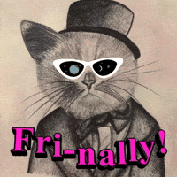 Friday Night Cat GIF
