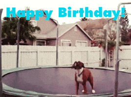 Happy Birthday GIF Happy Birthday GIF