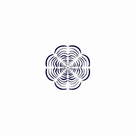 gif-featured-6