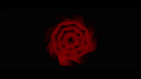 gif-featured-1
