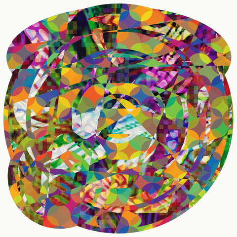 gif-featured-4